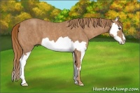 Horse Color:Chestnut Splash Frame  Brindle
