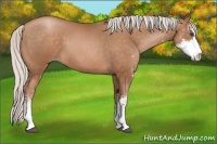 Horse Color:Silver Brown Pearl Sabino