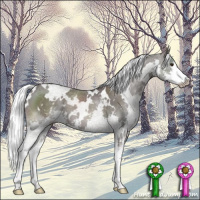 Horse Color:Platinum White Spotted Liver Chestnut Mushroom Splash