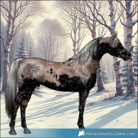 Horse Color:Void White Spotted Liver Chestnut Ice Mushroom Splash 