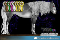 Horse Color:Gray White Spotted Silver Brown Chinchilla Rabicano 