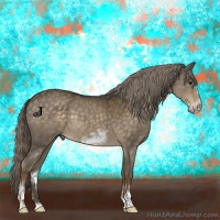 Horse Color:White Spotted Chocolate Palomino Sabino Splash Frame Rabicano