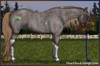 Horse Color:Liver Red Roan Tobiano 