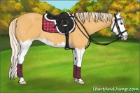 Horse Color:Palomino Splash 