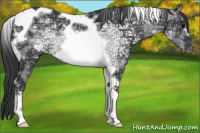 Horse Color:Black Ice Tobiano Frame