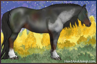 Horse Color:Gray White Spotted Liver Chestnut