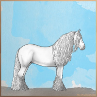 Horse Color:Gray White Spotted Liver Chestnut 