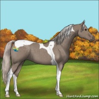 Horse Color:Silver Grullo Roan Tobiano 