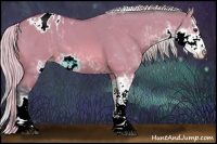 Horse Color:Watercolor Silver Bay Dun Sabino Appaloosa 