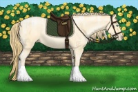 Horse Color:Buckskin Roan Pearl Tobiano  and Buckskin Roan Pearl 