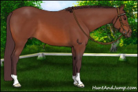 Horse Color:Chocolate Brown 