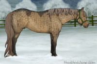 Horse Color:Chocolate Palomino Dun Brindle 