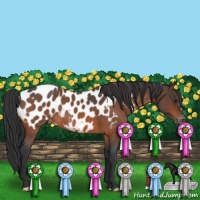 Horse Color:Bay Roan Near Leopard 