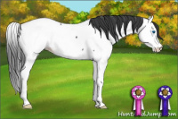 Horse Color:Blue Roan Splash Appaloosa 