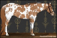 Horse Color:White Spotted Chestnut Varnish 
