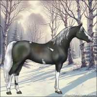 Horse Color:Platinum White Spotted Liver Chestnut Mushroom Tobiano 