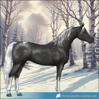 Horse Color:Platinum White Spotted Liver Chestnut Mushroom Tobiano 