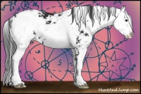 Horse Color:Black Sabino 