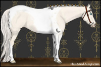 Horse Color:Cremello Dun Tobiano