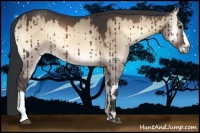Horse Color:Brown Onyx Brindle