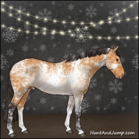 Horse Color:White Spotted Buckskin Ice 