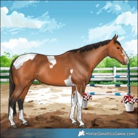 Horse Color:Bay Tobiano 