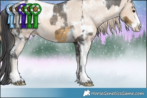 Horse Color:White Spotted Buckskin Sabino Appaloosa Rabicano  and White Spotted Perlino Sabino Appaloosa Rabicano 