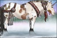 Horse Color:White Spotted Buckskin Sabino Appaloosa Rabicano  and White Spotted Perlino Sabino Appaloosa Rabicano 