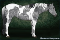 Horse Color:Black Ice Tobiano
