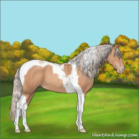 Horse Color:Silver Sable Champagne Tobiano 