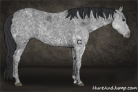 Horse Color:Black Ice 