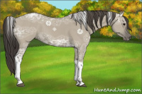 Horse Color:Smoky Grullo Ice Tobiano 