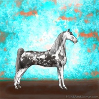 Horse Color:Liver Chestnut Sabino