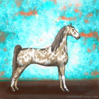 Horse Color:Chocolate Palomino Dun Appaloosa 