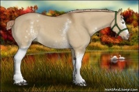 Horse Color:White Spotted Chocolate Palomino Dun 
