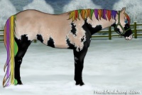 Horse Color:Painted Liver Red Dun Sabino Splash