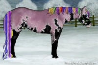 Horse Color:Painted Liver Red Dun Sabino Splash