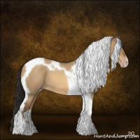 Horse Color:Gray Amber Champagne Roan Dun Tobiano