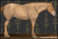Horse Color:Gray Gold Champagne Roan 