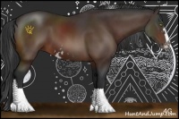 Horse Color:Brown Sabino Rabicano 
