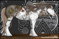 Horse Color:Liver Chestnut Sabino Rabicano 