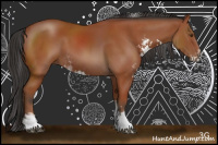 Horse Color:Bay Sabino 