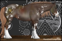 Horse Color:Liver Chestnut Sabino Rabicano 