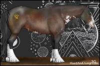 Horse Color:Brown Sabino