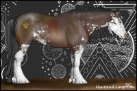 Horse Color:Bay Sabino Rabicano