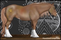 Horse Color:Chestnut Sabino