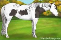 Horse Color:Smoky Black Splash Tobiano Varnish