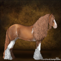 Horse Color:Gray White Spotted Gold Champagne 