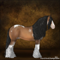 Horse Color:Gray White Spotted Amber Champagne Tobiano 