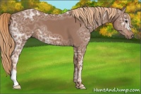 Horse Color:Chestnut Ice 
